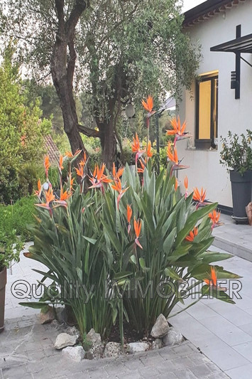 Vente maison contemporaine Mougins  