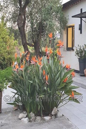 Vente maison contemporaine Mougins  
