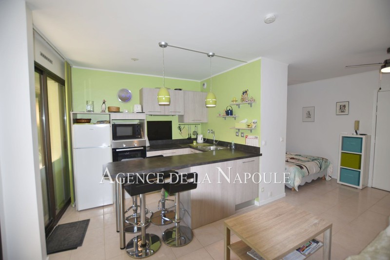 vente Apartment Mandelieu-la-napoule Minelle Apartment Mandelieu-la-Napoule Minelle, Rentals apartment 1 room 28 m²