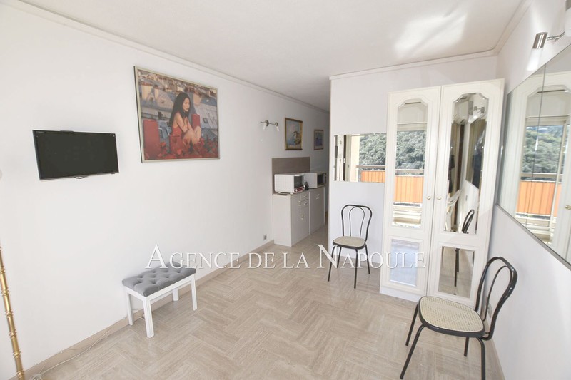 vente Appartement Mandelieu-la-napoule Cannes-marina Appartement Mandelieu-la-Napoule Cannes-marina, achat appartement 1 pièce 20 m²