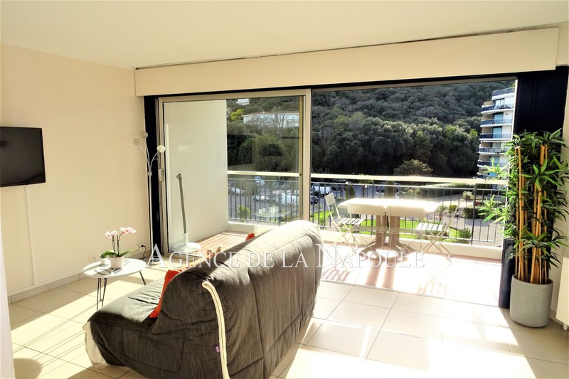 vente Appartement Mandelieu-la-napoule La napoule Appartement Mandelieu-la-Napoule La napoule, achat appartement 1 pièce 29 m²