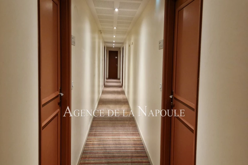 Vente appartement Mandelieu-la-Napoule  