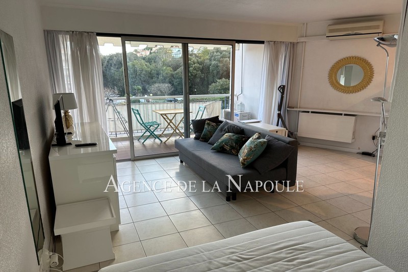 Photo Apartment Mandelieu-la-Napoule La napoule,   to buy apartment  1 room   28&nbsp;m&sup2;