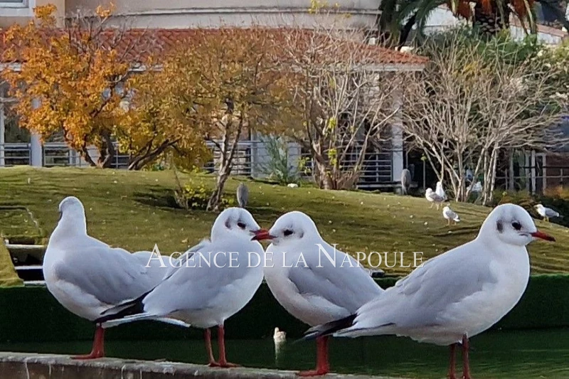 Vente appartement Mandelieu-la-Napoule  