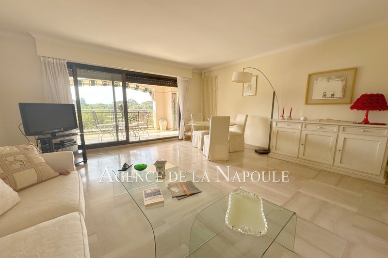 Vente appartement Mandelieu-la-Napoule  