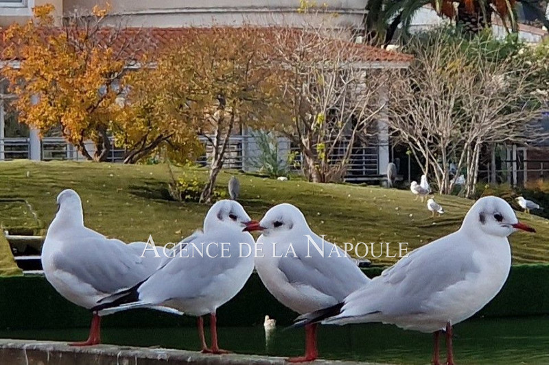 Vente appartement Mandelieu-la-Napoule  