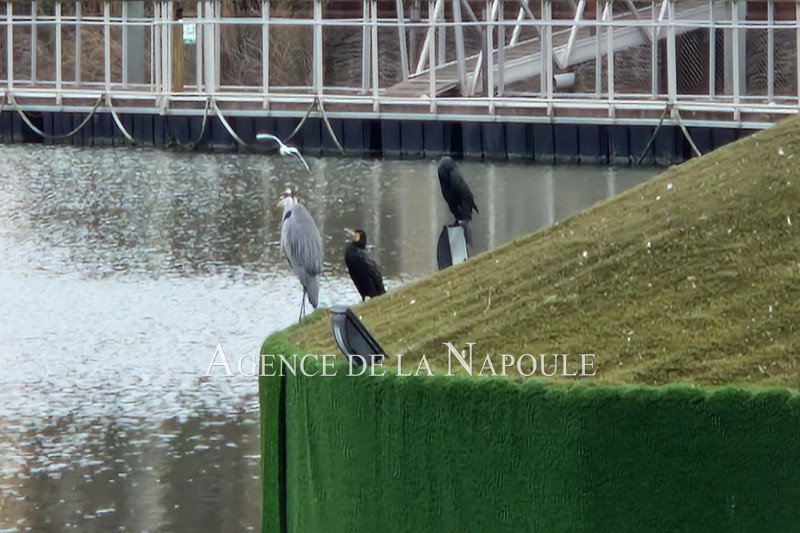 Vente appartement Mandelieu-la-Napoule  