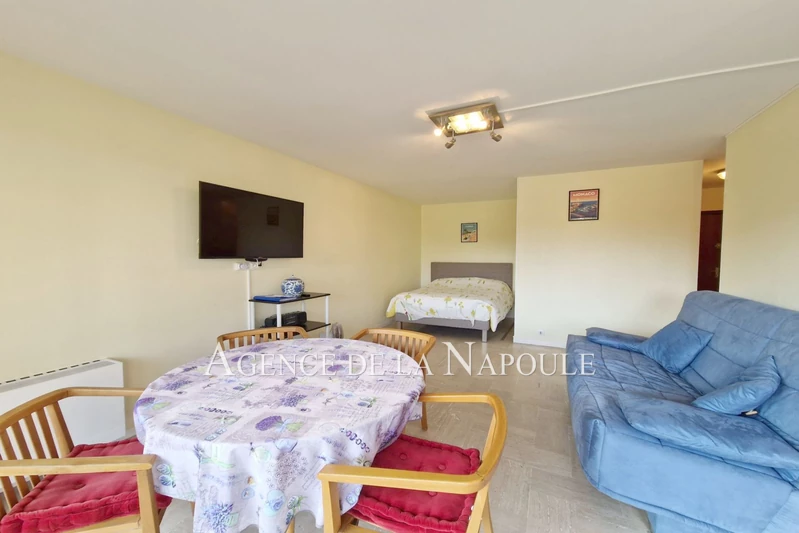 Vente appartement Mandelieu-la-Napoule  