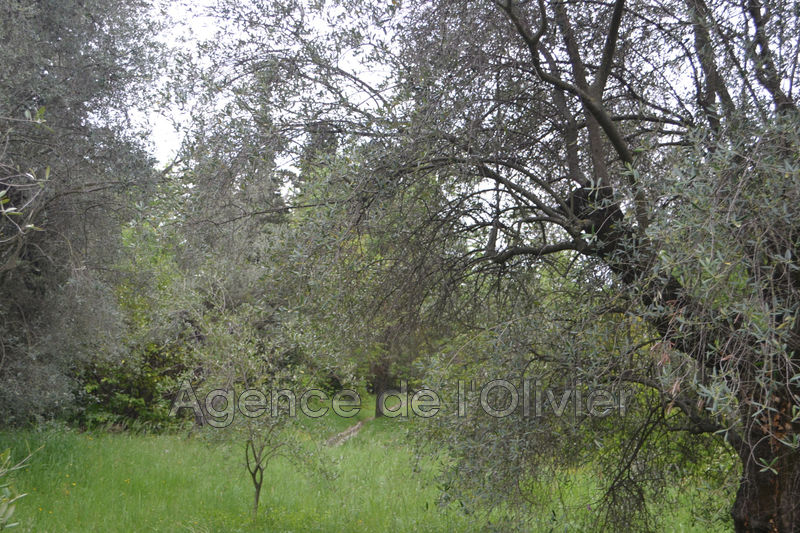 Photo Land opio Village, to buy land 1000 m²