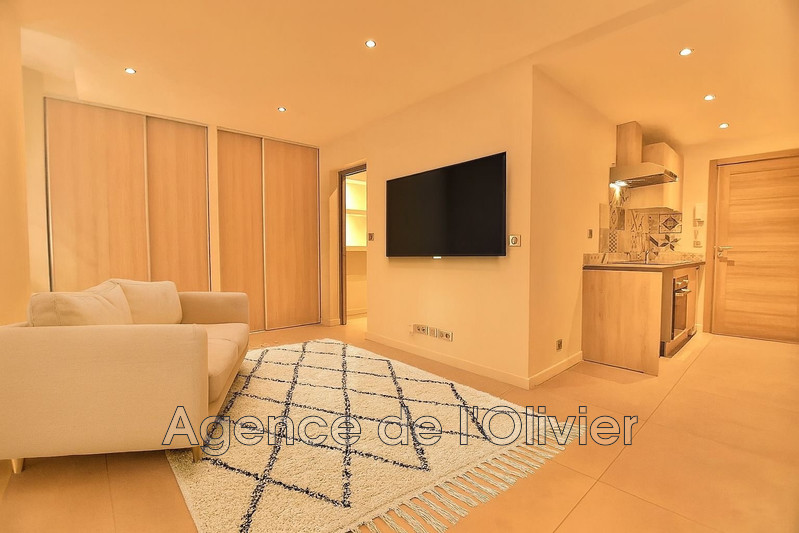 Appartement Biot Village,   achat appartement  2 pièces   40&nbsp;m&sup2;