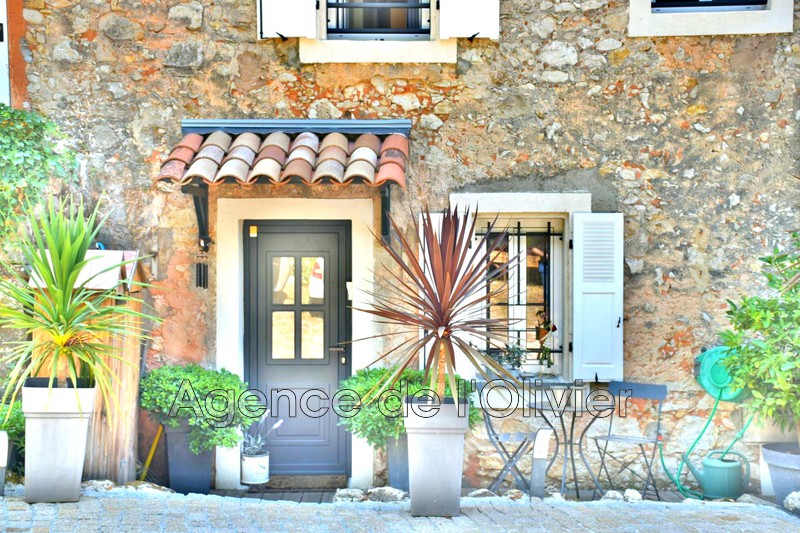 vente Maison mas Roquefort-les-pins Proche village Mas Roquefort-les-Pins Proche village, achat mas 3 chambres 133 m²