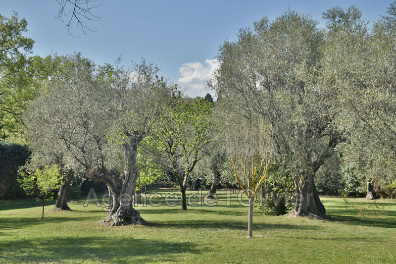 Vente villa provençale Châteauneuf-Grasse  