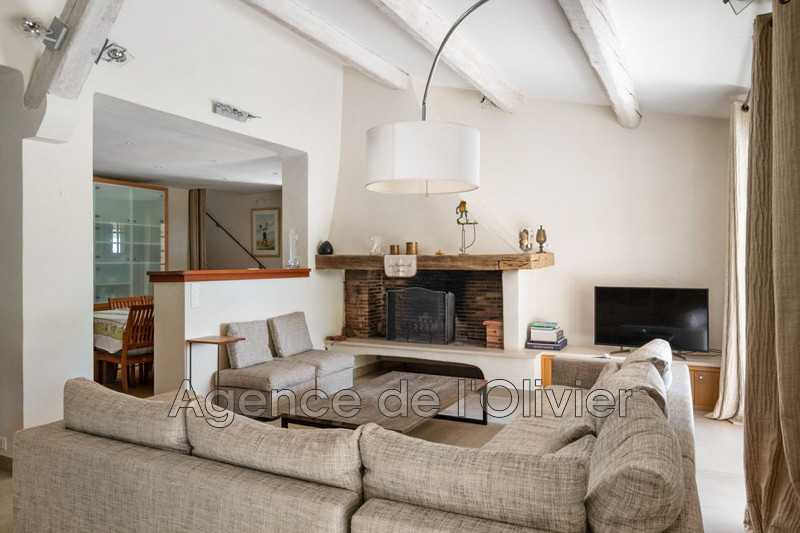 Vente villa Opio  
