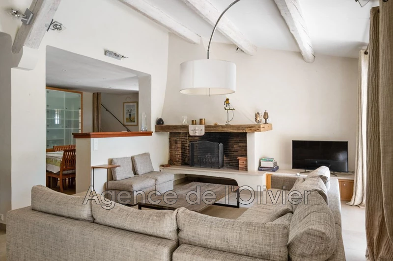 Vente villa Opio  