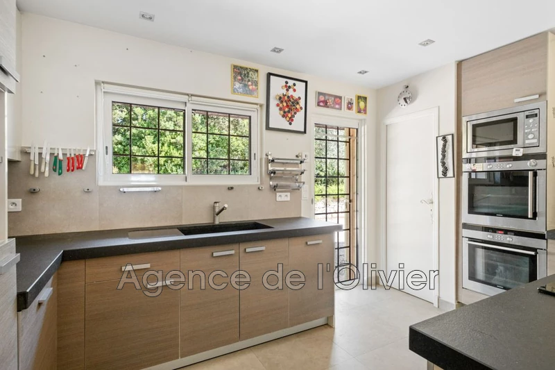 Vente villa Opio  