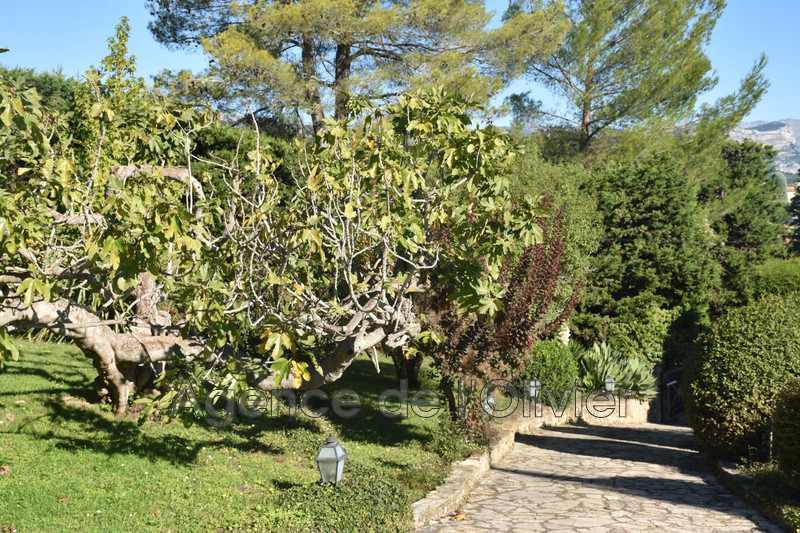 Vente villa provençale Valbonne  