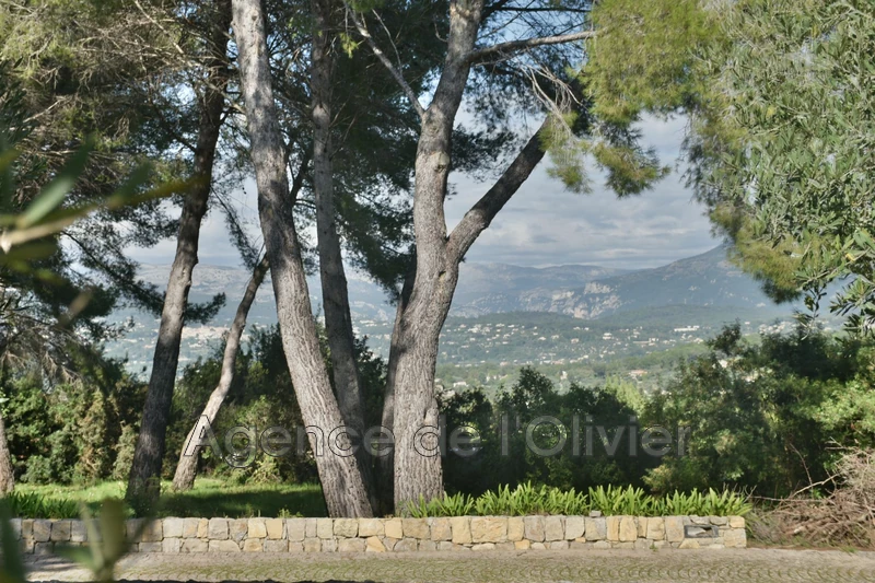 Vente bastide Mouans-Sartoux  