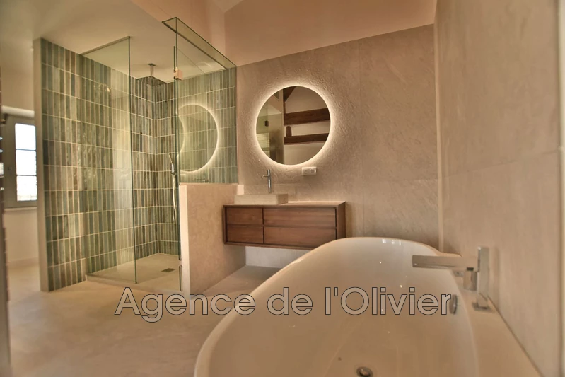 Vente hôtel particulier Biot  