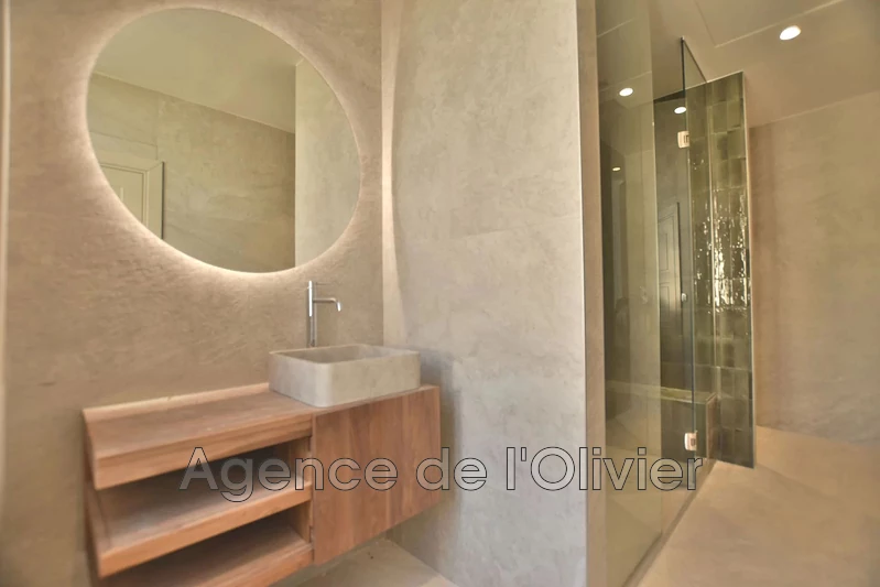 Vente hôtel particulier Biot  