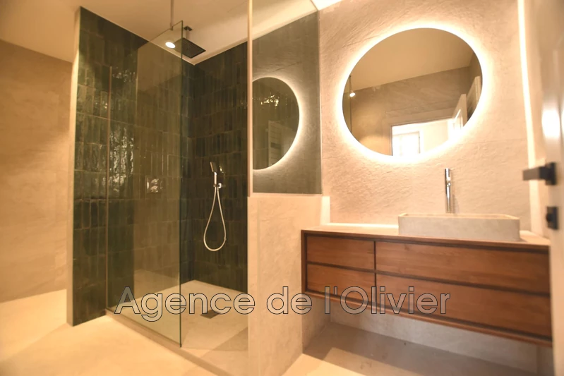 Vente hôtel particulier Biot  