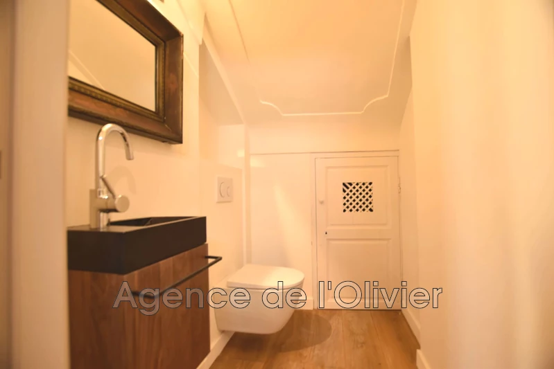 Vente hôtel particulier Biot  