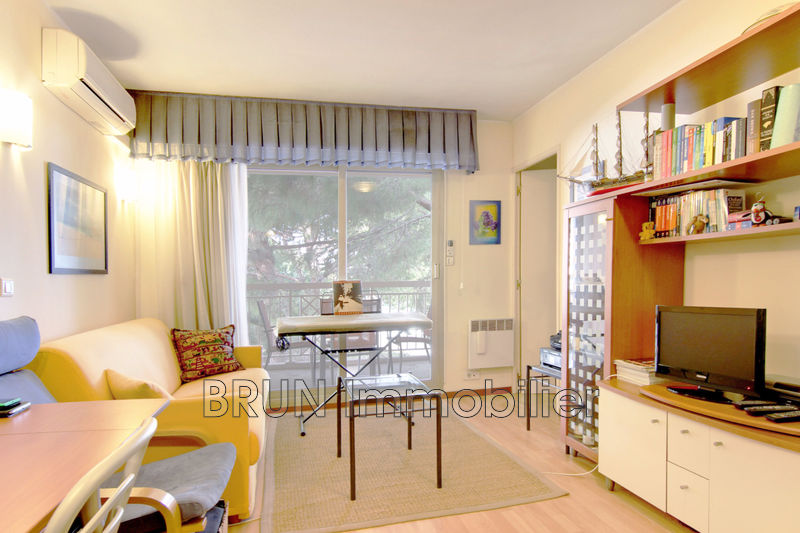 vente Appartement Golfe-juan Golfe juan Appartement Golfe-Juan Golfe juan, achat appartement 3 pièces 40 m²