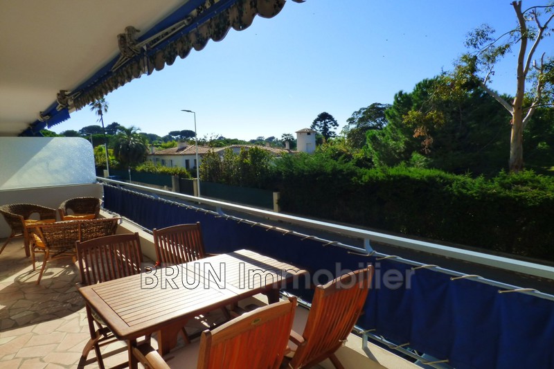 Appartement A Vendre Juan Les Pins Brun Immobilier