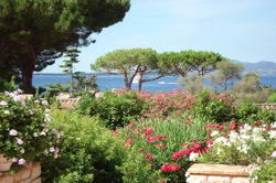 Photos Maison Bastide à vendre Cap d'Antibes 06160