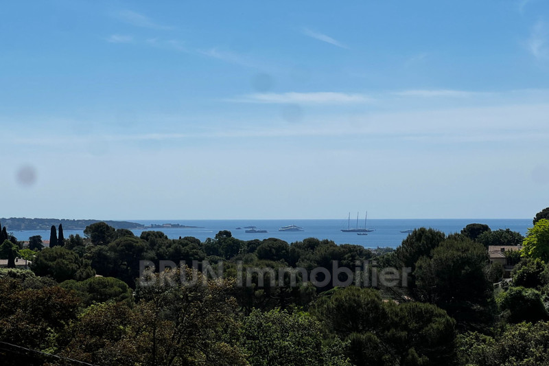 Vente villa provençale Antibes  