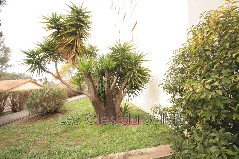 Location appartement Toulon  