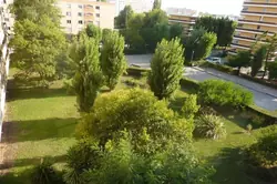 Photos  Appartement T3 à louer La Garde 83130