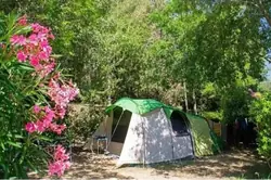 Professionnel Le Pradet Professionnel Le Pradet