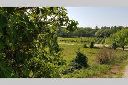 Photos Terrain à vendre Flassans-sur-Issole 83340