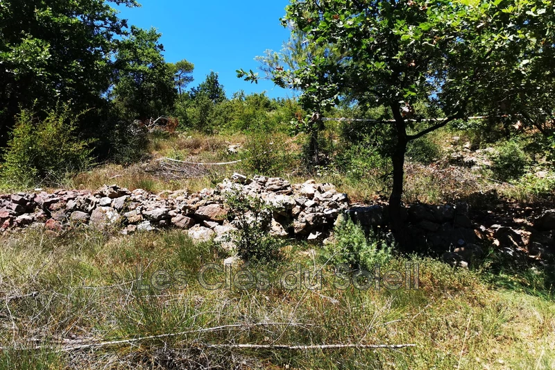 terrain  Brignoles   900&nbsp;m&sup2; -   