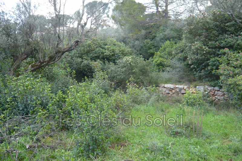 terrain  Cuers   1500 m² -   