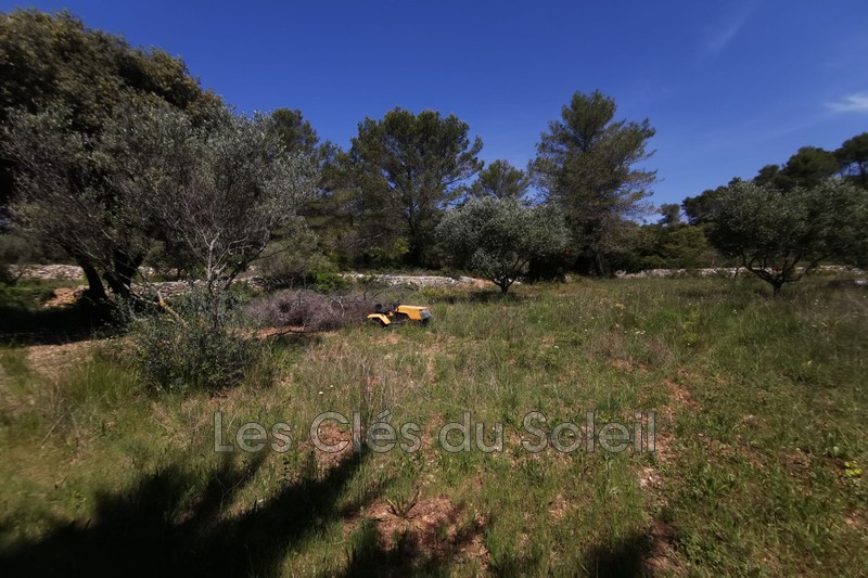 Photo n°2 - Vente terrain Carnoules 83660 - 273 000 €