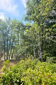 Vente terrain Camps-la-Source  