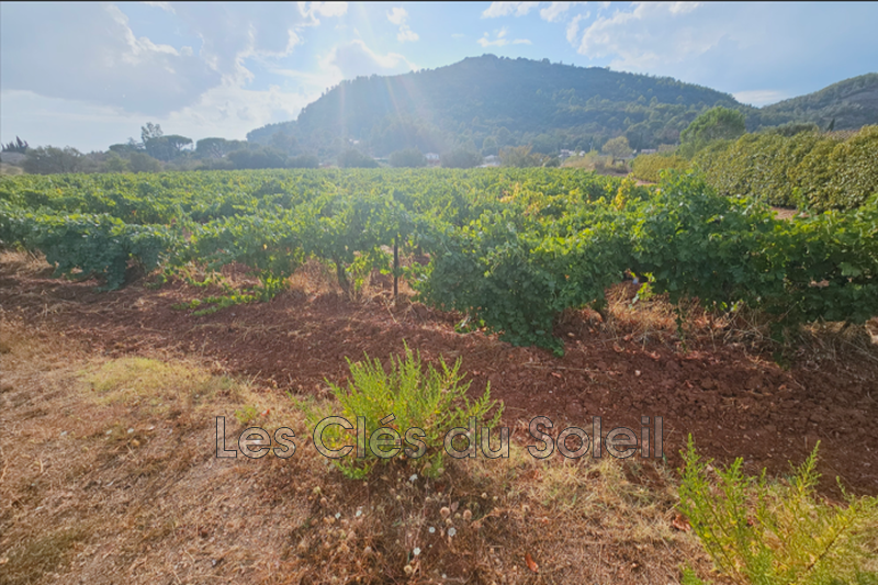 terrain  Brignoles   450 m² -   