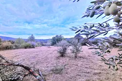 Vente terrain Camps-la-Source  