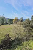 Vente terrain Camps-la-Source  