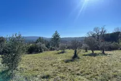 Photos  Terrain à vendre Camps-la-Source 83170