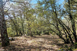 Photos  Terrain à bâtir à vendre Camps-la-Source 83170