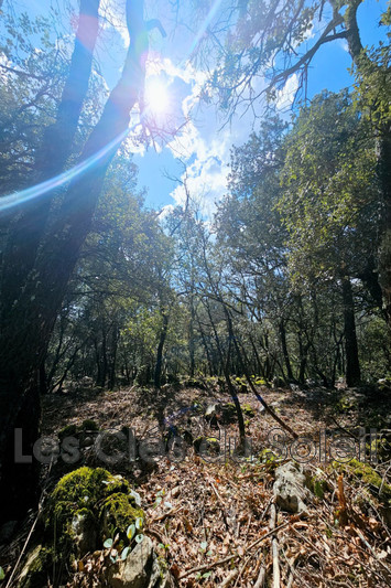 Vente terrain à bâtir Camps-la-Source  