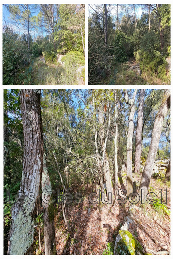 Photo n°2 - Vente terrain à bâtir Camps-la-Source 83170 - 148 000 €