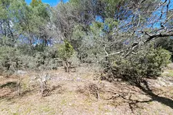 Vente terrain à bâtir Camps-la-Source  