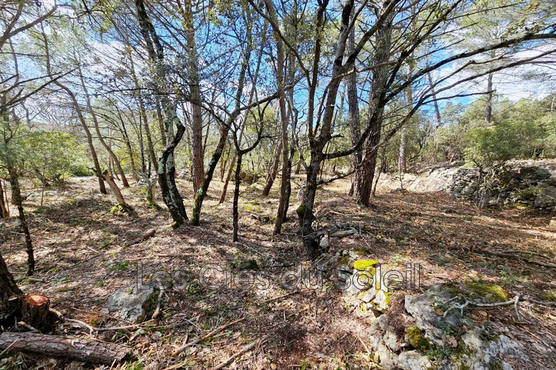 Vente terrain à bâtir Camps-la-Source  