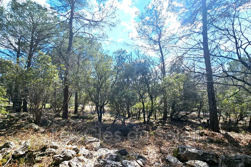 Vente terrain à bâtir Camps-la-Source  