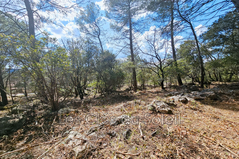 Photo n°3 - Vente terrain Camps-la-Source 83170 - 298 500 €