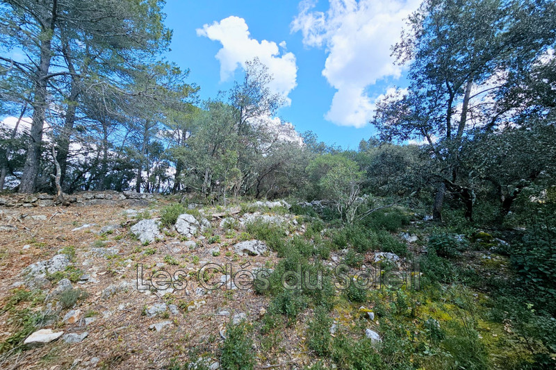 Photo n°2 - Vente terrain Camps-la-Source 83170 - 298 500 €