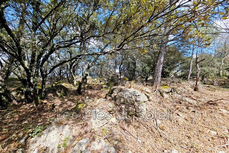 Photo n°5 - Vente terrain Camps-la-Source 83170 - 298 500 €